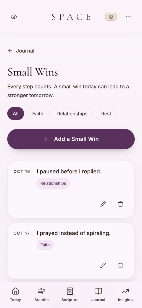 SPACE Small Wins screen listing wins such as: I paused before I replied